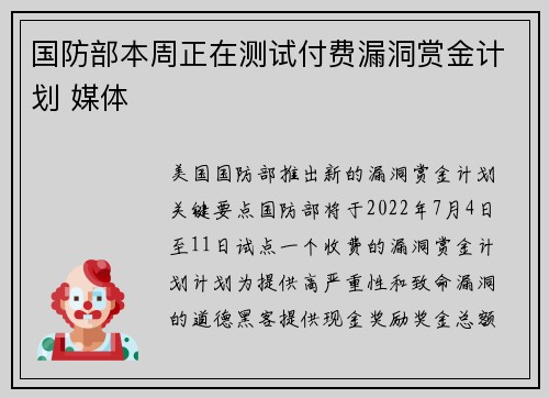 国防部本周正在测试付费漏洞赏金计划 媒体